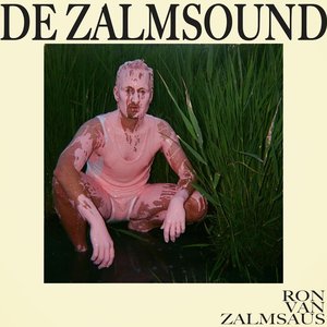 'De Zalmsound'の画像