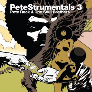 Изображение для 'PeteStrumentals 3'