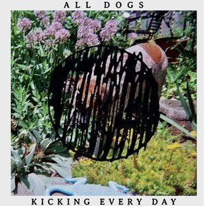 Image for 'Kicking Every Day'