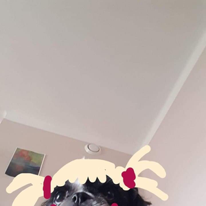 plinczjkwsk