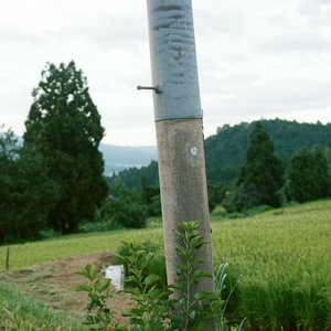 'おさきにどうぞ'の画像