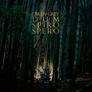 “DUM SPIRO SPERO”的封面