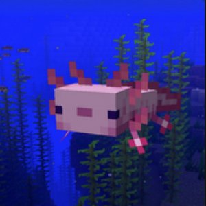 Imagem de 'Axolotl in the Ocean'