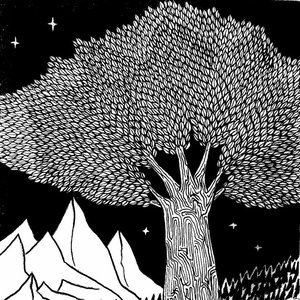Image for 'Eidetic Dreams of Sentient Trees'