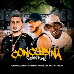 Image for 'Concubina (Remix Funk) (feat. DJ Melão)'