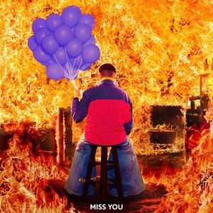Zdjęcia dla 'Miss You (Remix)'
