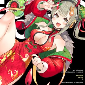 “IRREGULAR NATION 10”的封面