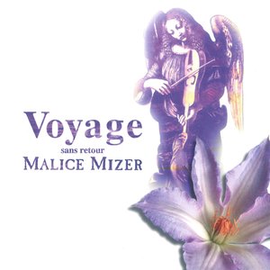 Image for 'Voyage'