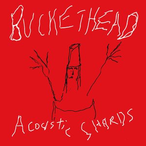 Изображение для 'Acoustic Shards'