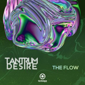 Image for 'The Flow'
