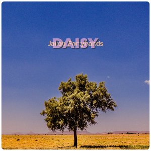 'Daisy'の画像