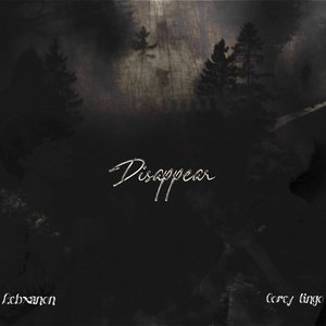 “disappear”的封面