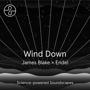 Image for 'Wind Down'