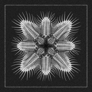 Image for 'Decades'