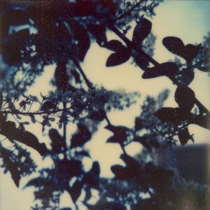 Image for 'Jodo'