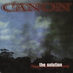“the solution”的封面