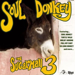 Image pour 'Soul Donkey'