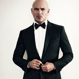 Bild för 'Pitbull'