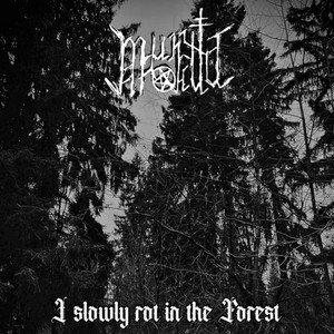 Image for 'I slowly rot in the Forest'