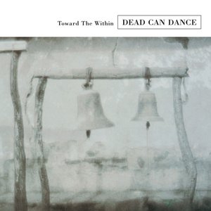 Bild für 'Toward the Within (Remastered)'