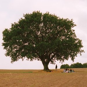 Immagine per 'Vild Ungdom'