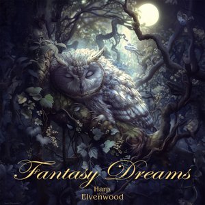 “Fantasy Dreams”的封面