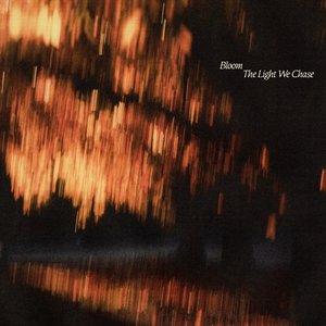Image for 'The Light We Chase'