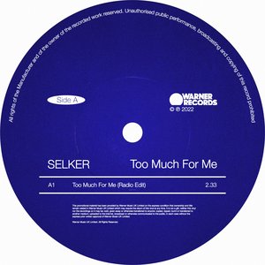 Image for 'Too Much For Me'