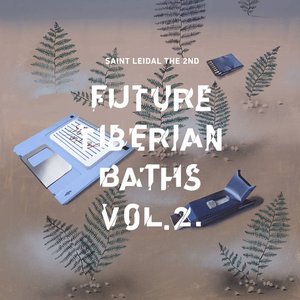 “Future Tiberian Baths, Vol. 2”的封面