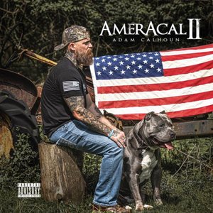 “AmerAcal II”的封面