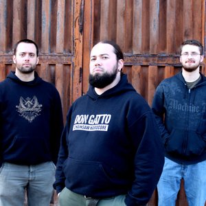 Image for 'Don Gatto'