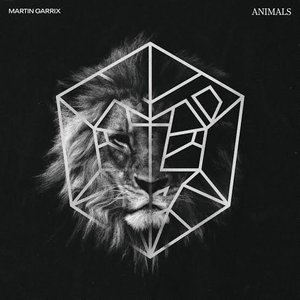 “Animals”的封面