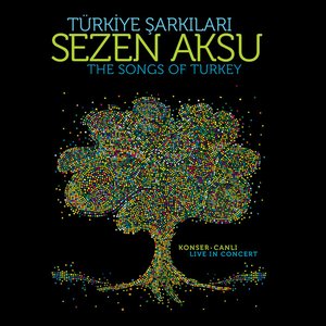 Bild för 'Türkiye Şarkıları (Canlı)'