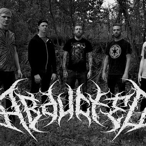 Image for 'Abducted'