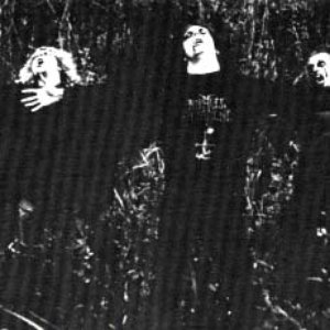 Image for 'Corpse Molestation'