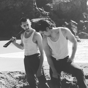 Immagine per 'The Last Shadow Puppets'