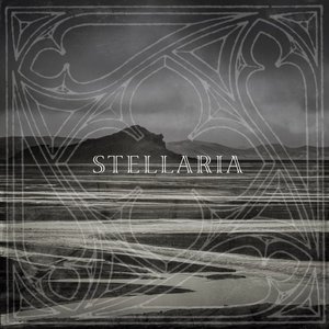 Image for 'Stellaria'