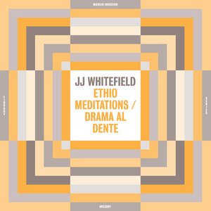 Immagine per 'Ethio Meditations / Drama Al Dente'