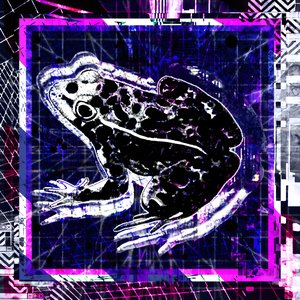 “breakcore is a good way to get laid”的封面