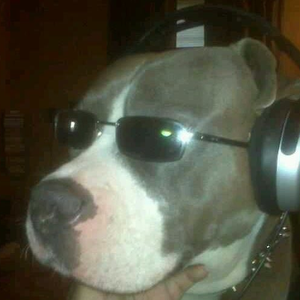 j-bean2