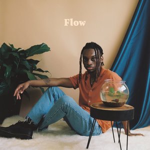 Image for 'Flow'