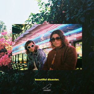 Image for 'Beautiful Disaster'