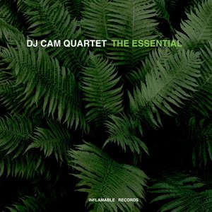 Image pour 'The Essential'