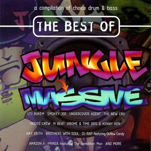 Zdjęcia dla 'The Best of Jungle Massive'