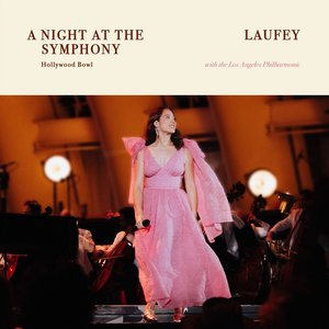 Image pour 'A Night At The Symphony: Live at the Hollywood Bowl'