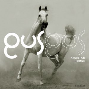 Image for 'Arabian Horse'