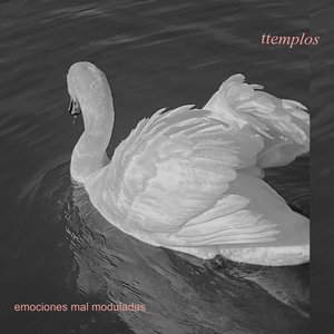 Image for 'Emociones Mal Moduladas'