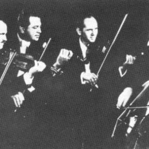 Image for 'Vienna Konzerthaus Quartet'