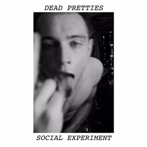 'Social Experiment'の画像