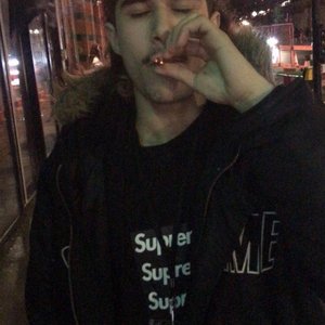 “fakemink”的封面